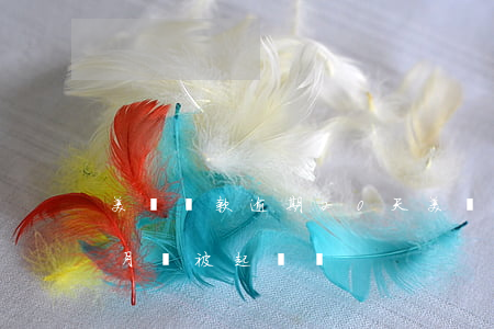 美團貸款逾期20天(美團金融貸款逾期三個月會被起訴嗎?)