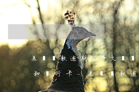 美團貸款逾期了,多久會凍結(jié)微信和銀行卡-美團貸款逾期了,多久會凍結(jié)微信和銀行卡