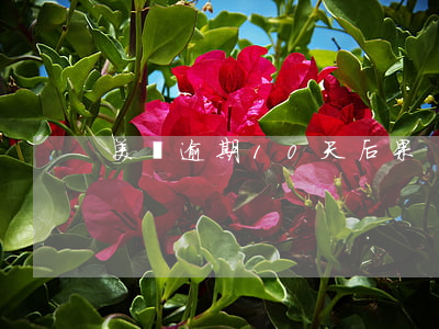 美團逾期10天后果