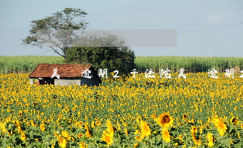 美團逾期2千法院(美團逾期2千法院)