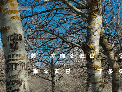 美團逾期2天已經還了多久可以借-美團逾期2天已經還了多久可以借錢