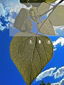 美團逾期33天
