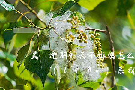 美團逾期4天不排便怎么辦-美團逾期五天說聯(lián)系我朋友是真的嗎