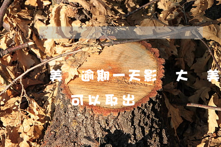 美團逾期一天影響大嗎(美團逾期一天還進去還可以取出來嗎)