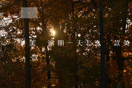 美團逾期一天怎么還款 美團逾期一天怎么還款