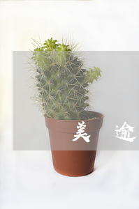 美團逾期一次可以辦信用卡嗎