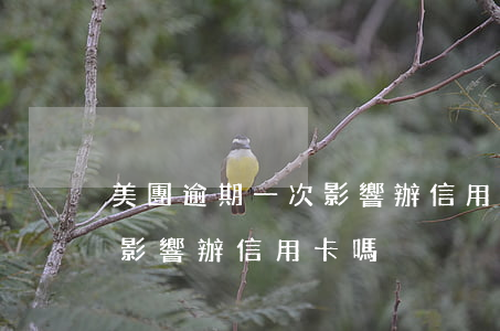 美團逾期一次影響辦信用卡嗎(美團逾期一次影響辦信用卡嗎)