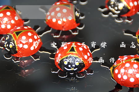 美團逾期三天寄律師函怎么辦(美團逾期四天說將寄出催告函件什么的)