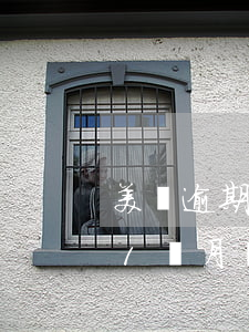 美團逾期了一個月也沒有打電話-美團逾期1個月現(xiàn)在沒有催收的打電話了是什么情況