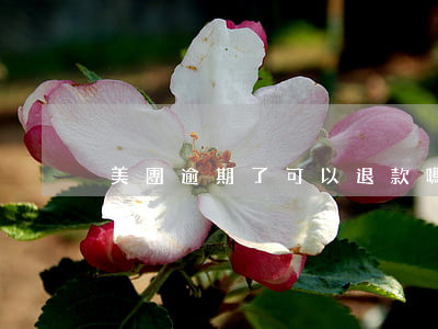 美團逾期了可以退款嗎