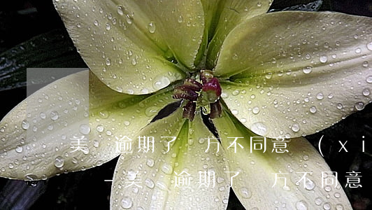 美團逾期了對方不同意協(xié)商怎么辦-美團逾期了對方不同意協(xié)商怎么辦呢