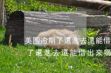 美團逾期了還進去還能借出來嗎-美團逾期了還進去還能借出來嗎安全嗎