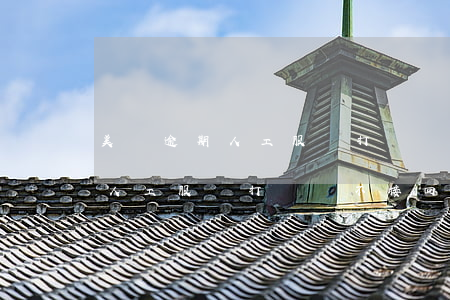 美團逾期人工服務打電話不接回-美團逾期人工服務打電話不接回怎么辦