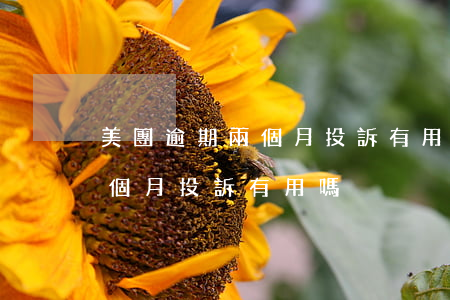 美團逾期兩個月投訴有用嗎知乎（美團逾期兩個月投訴有用嗎）