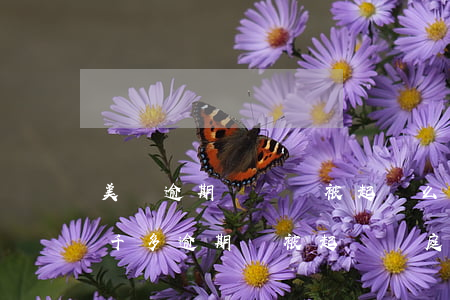 美團逾期兩萬會被起訴么-美團欠三千多一千多逾期會被起訴開庭嗎