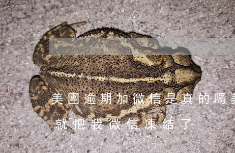 美團逾期加微信是真的嗎(美團逾期一個星期就把我微信凍結了)