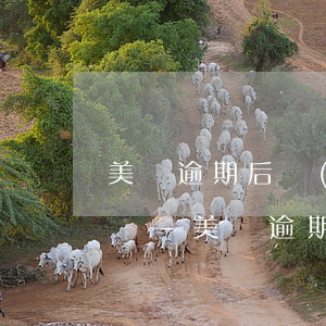 美團逾期后協(xié)商還款對征信的影響-美團逾期后協(xié)商還款對征信的影響大嗎