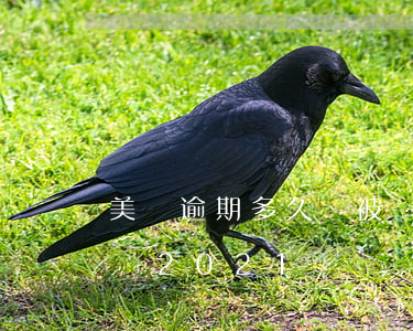 美團逾期多久會被訴訟成功(美團逾期真實經歷2021)