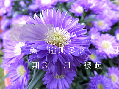 美團逾期多少錢會被起訴(美團上欠1萬元逾期3個月會被起訴嗎?)