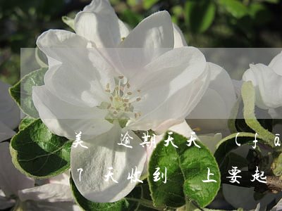 美團逾期天天發(fā)法院短信(美團逾期7天收到馬上要起訴的短信)
