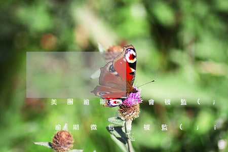 美團逾期微信會被監(jiān)控嗎（美團逾期微信會被監(jiān)控嗎）