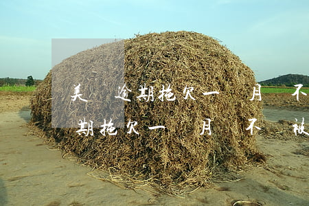 美團逾期拖欠一個月會不會被起訴-美團逾期拖欠一個月會不會被起訴呢