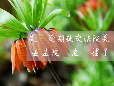 美團逾期提交法院 美團生活費逾期半個月要去法院開庭審理了
