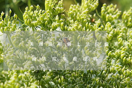 美團逾期會上法院嘛(美團逾期一個多月會通過法院來處理嗎)
