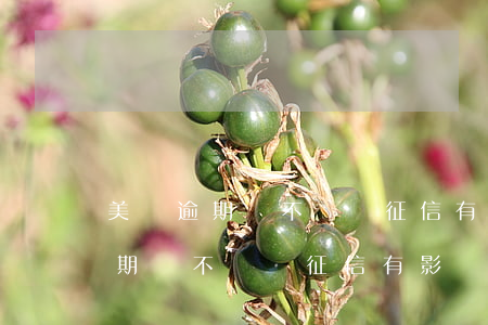 美團逾期會不會對征信有影響信用-美團逾期會不會對征信有影響信用卡使用