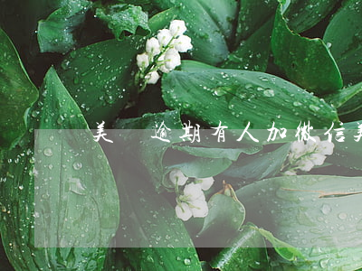 美團逾期有人加微信（美團逾期會加微信嗎）
