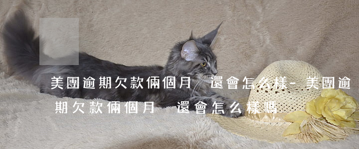 美團逾期欠款倆個月沒還會怎么樣-美團逾期欠款倆個月沒還會怎么樣嗎