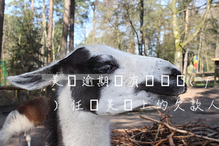 美團逾期沒有還會負(fù)民事責(zé)任嗎(美團上的欠款人逾期不處理最終是怎么辦)