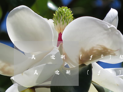 美團逾期發(fā)短信說訴前審核階段-美團逾期發(fā)短信說訴前審核階段是真的嗎