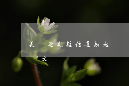 美團逾期短信通知：起訴審理已開始，需查收送達文書