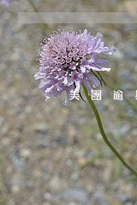 美團逾期第九天上征信嗎