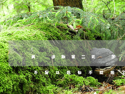 美團逾期第二天會怎樣催收(美團逾期一天是不是以后都不能用了?)
