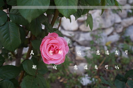 美團逾期說我惡意透支可以舉報嗎-美團逾期說我惡意透支可以舉報嗎是真的嗎