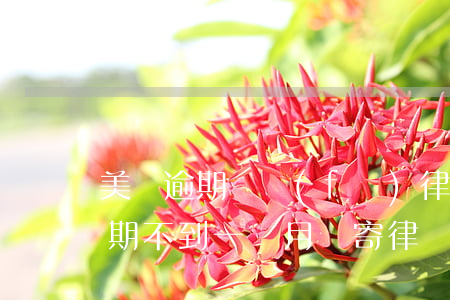 美團逾期說發(fā)律師函多少錢(美團逾期不到一個月說寄律師到家,是不是真的)