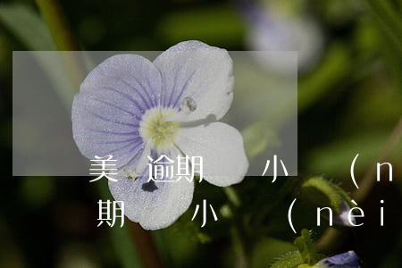美團逾期讓兩小時內(nèi)還款(美團逾期讓兩小時內(nèi)還款)