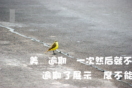 美團逾期過一次然后就不能借款了怎么辦（美團逾期了展示額度不能用）