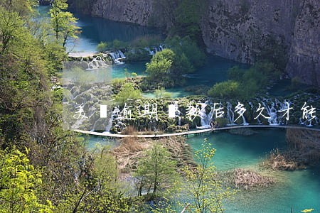 美團逾期還款后多久才能繼續(xù)用-