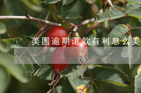 美團逾期還款有利息么(美團逾期利息是多少)