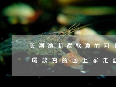 美團逾期還款真的回上家走訪嗎-美團逾期還款真的回上家走訪嗎是真的嗎