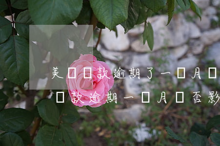美團還款逾期了一個月會不會影響信譽，美團還款逾期一個月會否影響個人信譽？