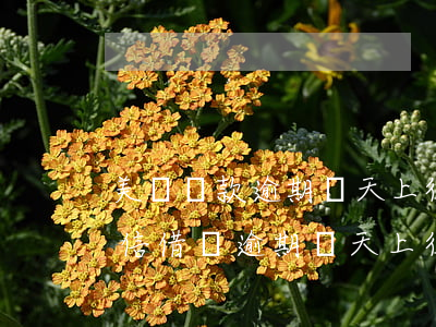 美團還款逾期幾天上征信(美團逾期多久上征信?借唄逾期幾天上征信)