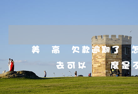 美團高額欠款逾期了會怎么樣(美團有逾期說還進去可以給額度是不是真的)