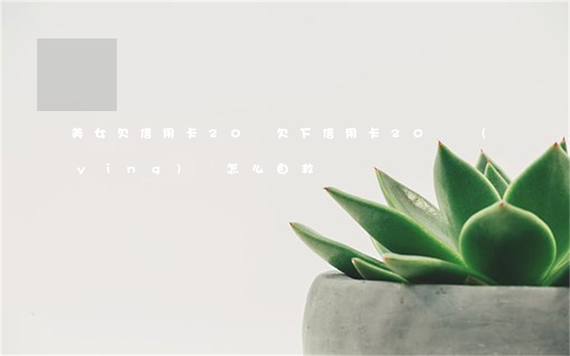 美女欠信用卡20萬(欠下信用卡20萬應(yīng)該怎么自救)