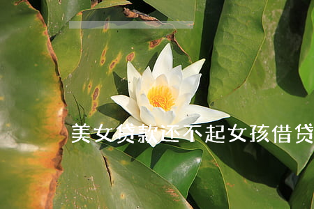 美女贷款还不起(女孩借贷还不上)