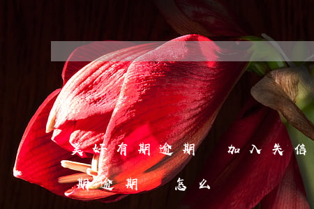 美好有期逾期會加入失信黑名單嗎-美好有期逾期會怎么樣