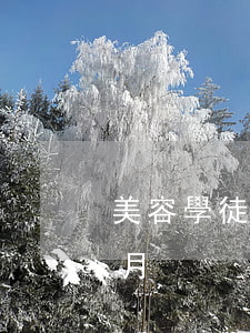 美容學徒多少錢一個月(美容學徒多少錢一個月)